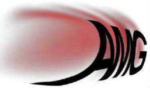 AMG(ACE MARKET GROUP) LOGO